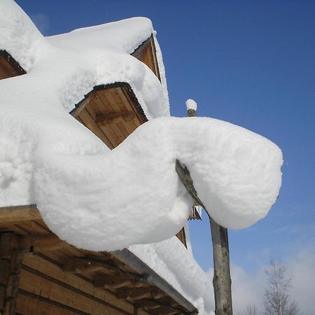 Nosalowka Zakopane Exteriér fotografie